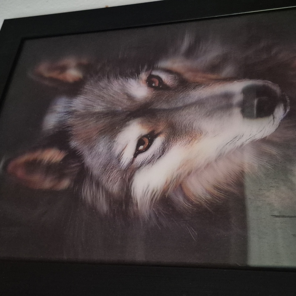 3D Moves Framed Wolf Portrait Art